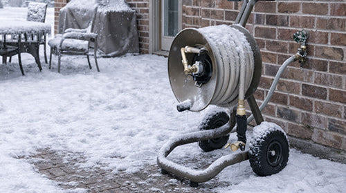 Is It Freeze Damage? Signs, Causes & What to Do Next