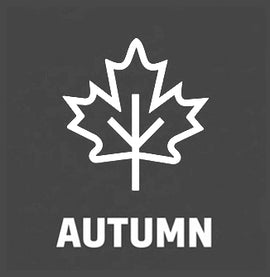 White maple leaf and 'AUTUMN' text on a gray background