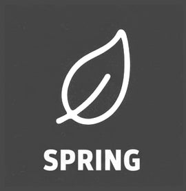 White leaf icon with 'SPRING' text on a gray background
